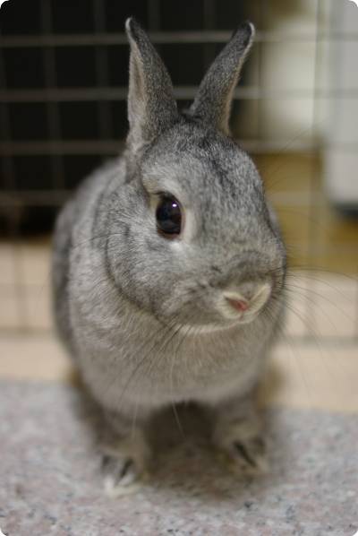 ちょこん♪