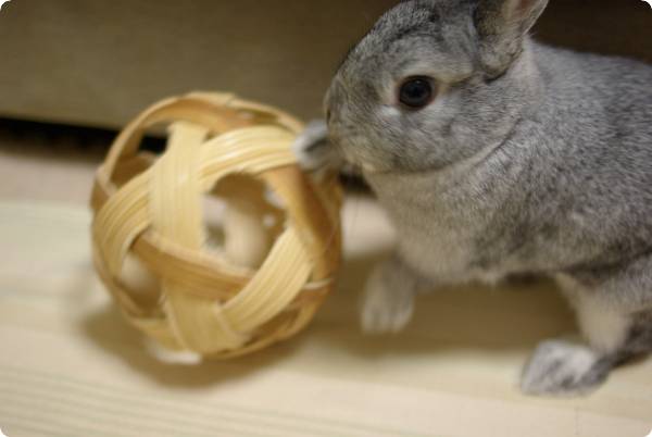 びしっびしっ