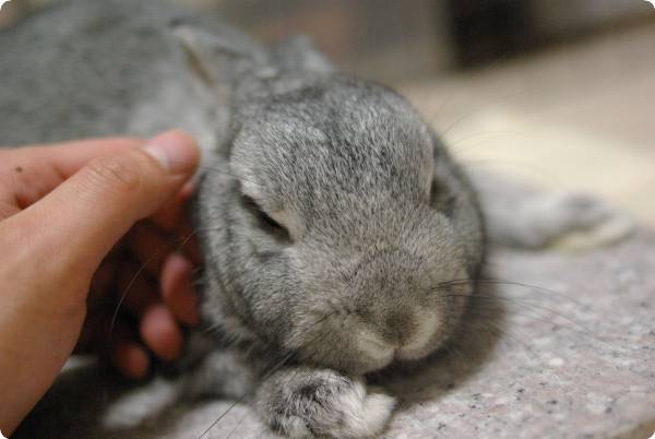 うとうと