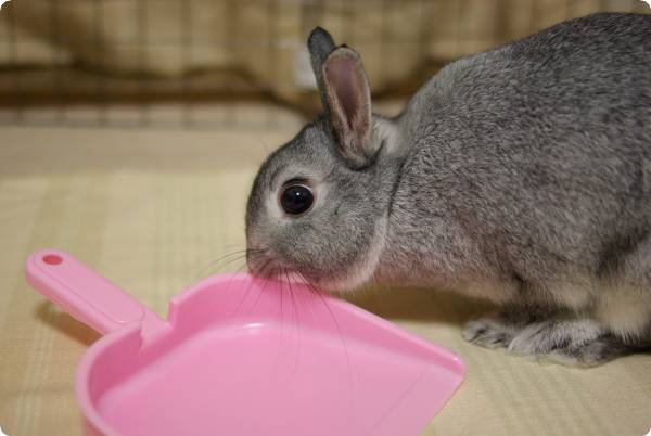 ふんふん♪