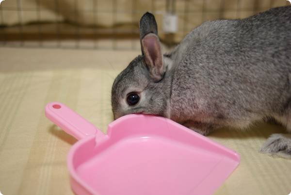 もごもご♪