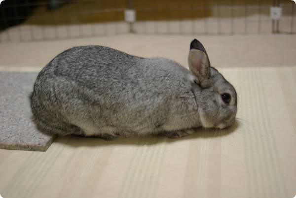 にゅ〜♪