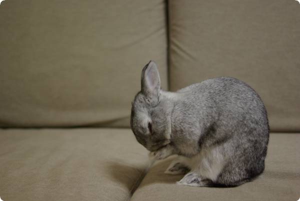 ごしごし