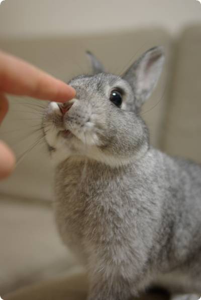 ちょん♪