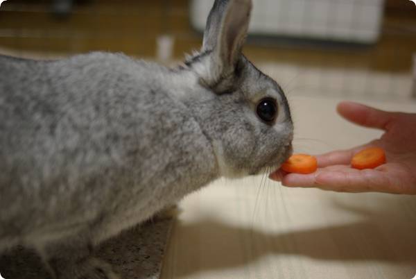 ふんふん♪