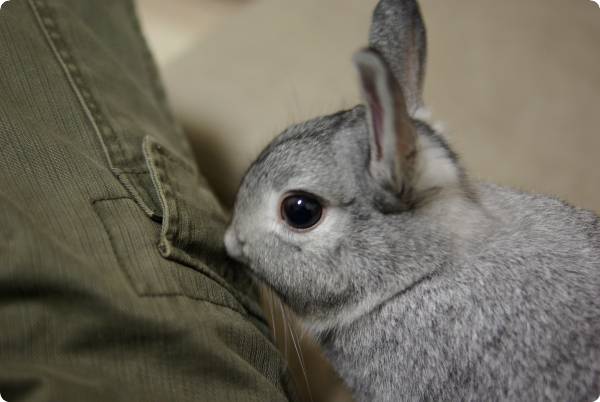 ふんふん♪