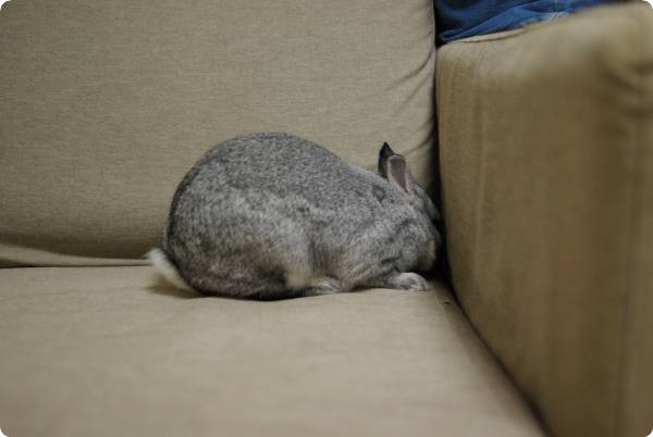 どこかな〜♪