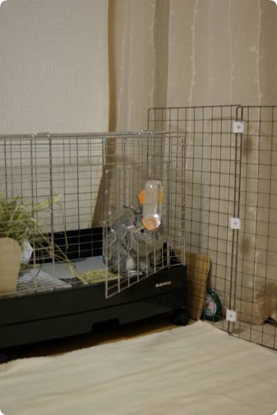 おいっちに♪