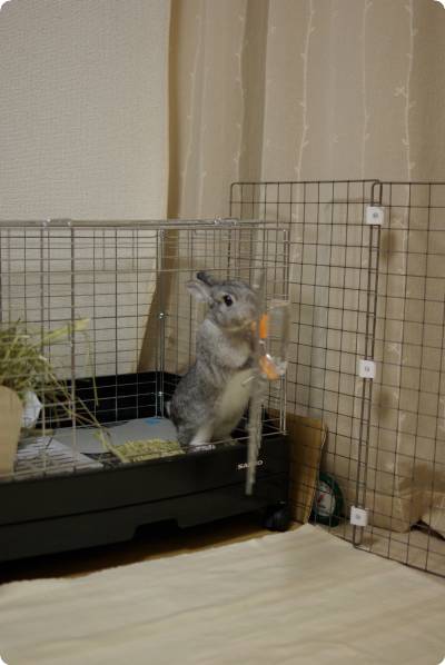 さんし♪