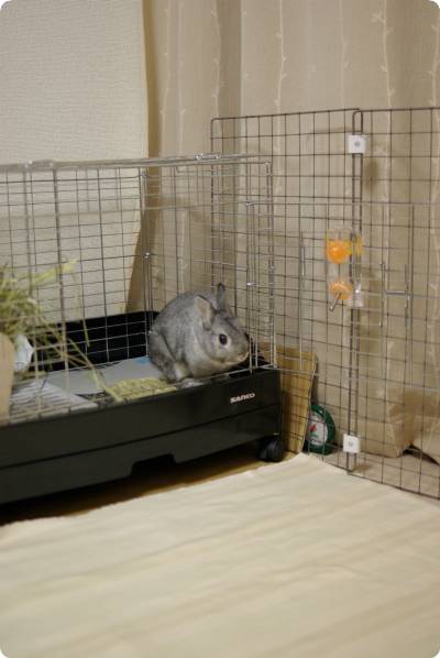 ふふ〜ん♪
