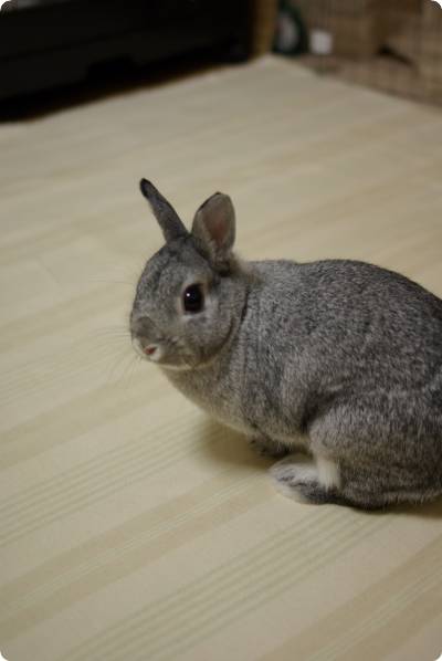ふふ〜ん♪