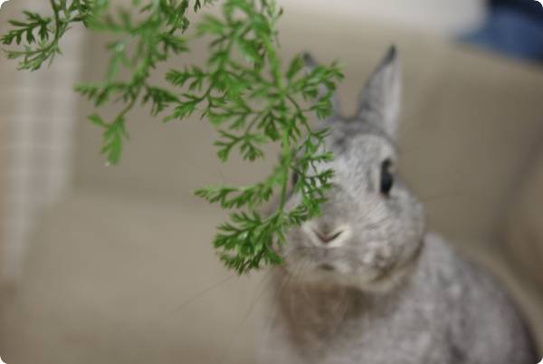 きょとん♪