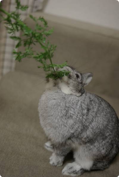 ぐい〜っ♪