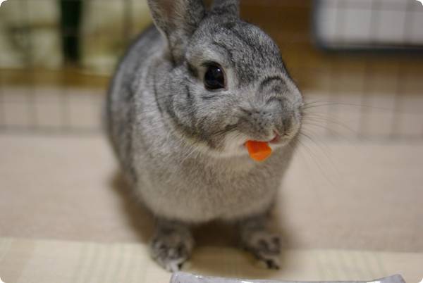 うまうま♪