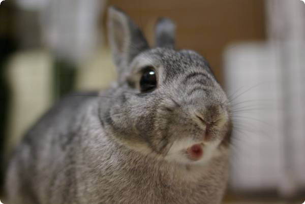 うまっ♪