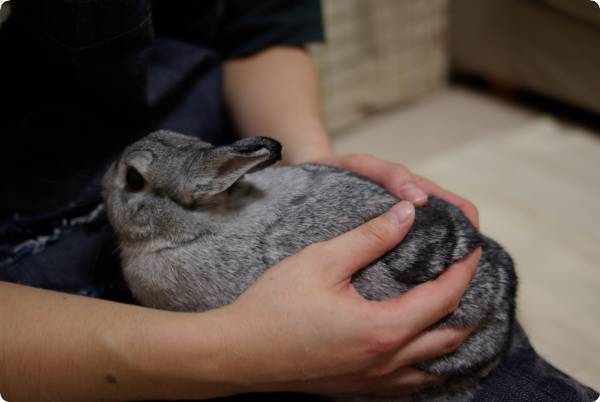 まだですか
