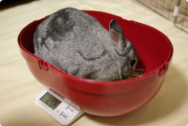 夢中なの♪
