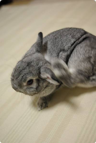 うりゃ〜っ