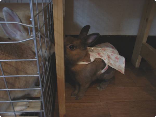 ぼく男の子なのに。。。