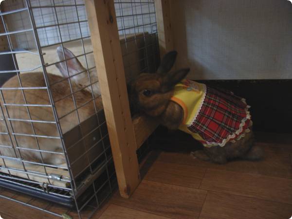 似合ってる〜?