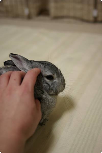 むうむう♪