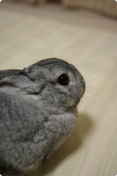 ん?
