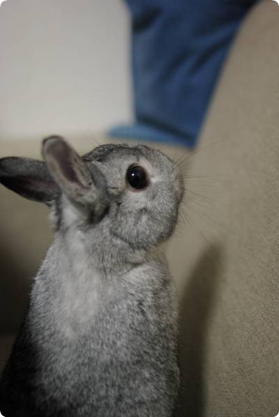 ふふ〜ん♪