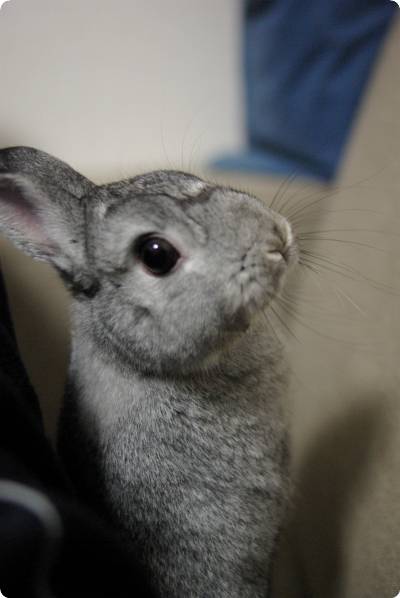 ん?