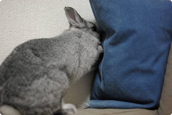 えいや〜っ♪