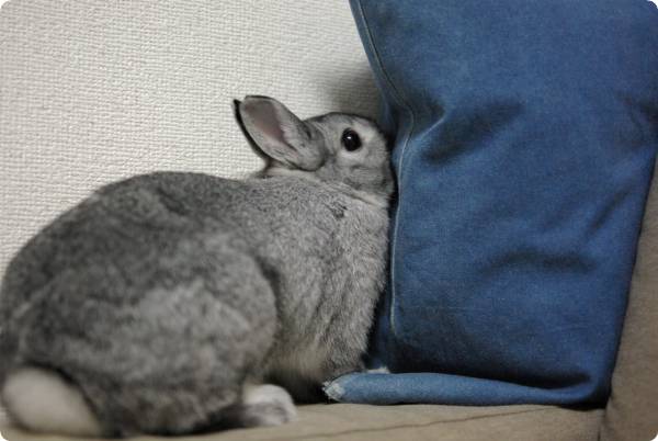 うりゃ〜っ♪