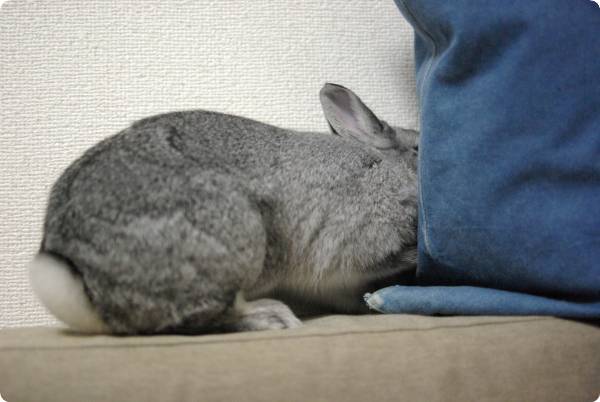ふぉ〜っ♪