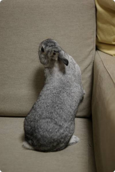 ふんふん♪