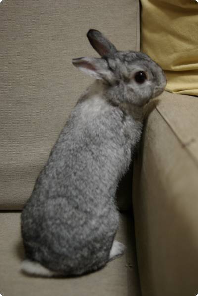 ん?