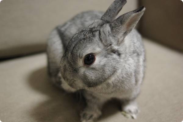 ふんふん♪
