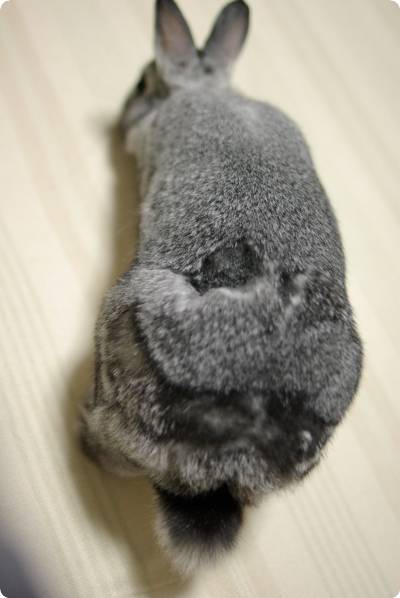 もさ〜