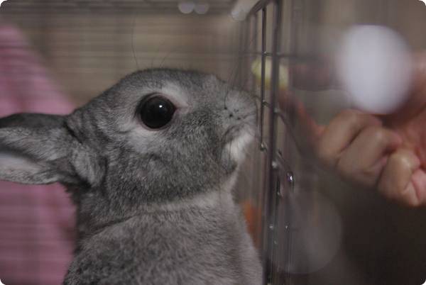 くんくん♪