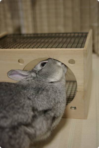 ふんふん♪