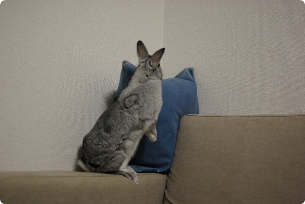 む♪