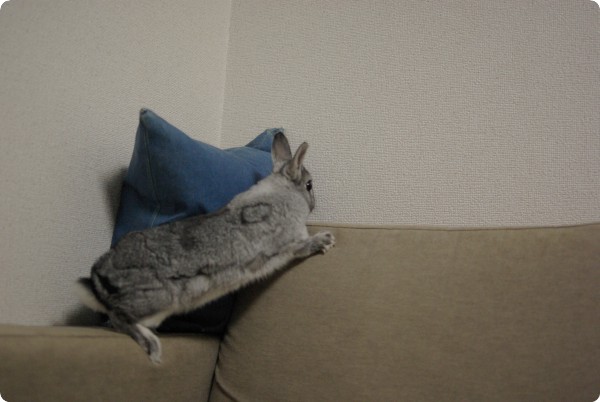 よっこいしょ♪