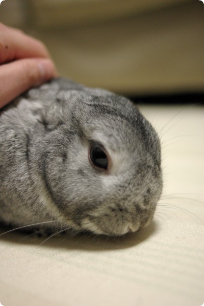 ふんふん♪
