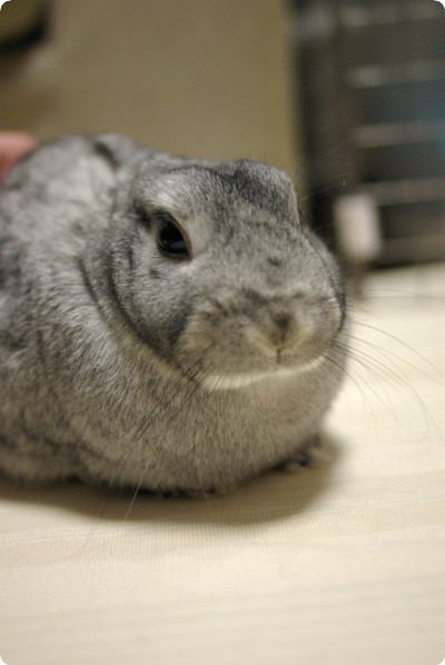 むう♪