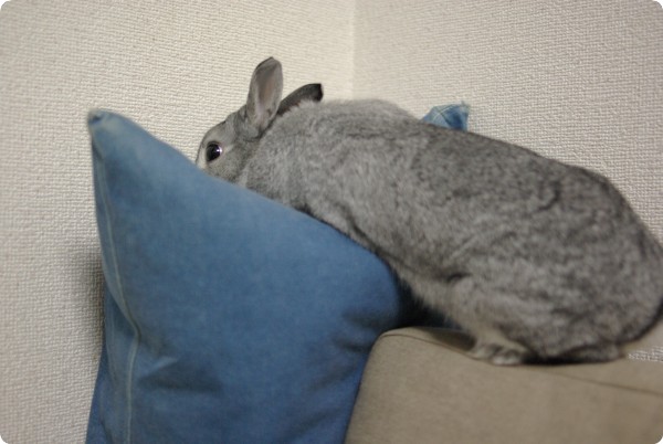 よいしょ♪