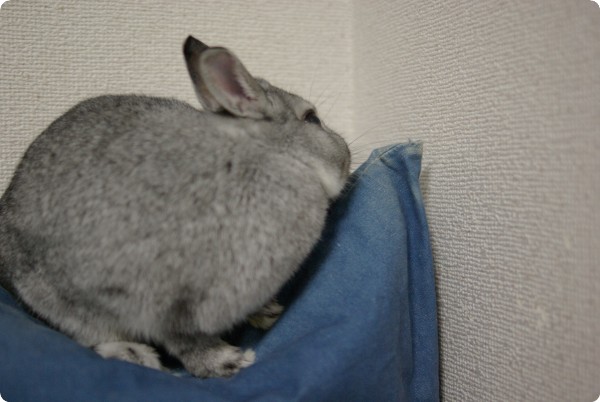 ふんふん♪