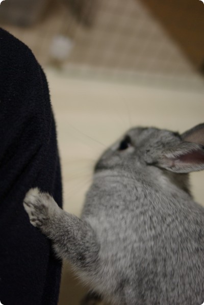 ぽんっ