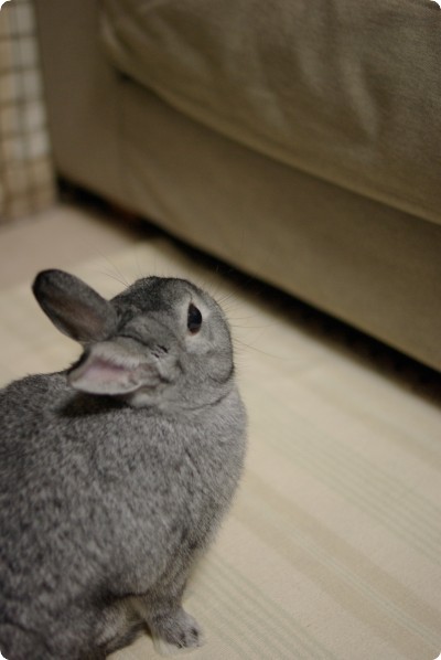 じ〜っ