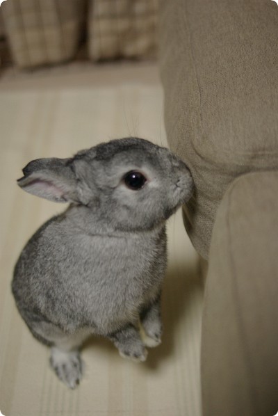 ふんふん♪