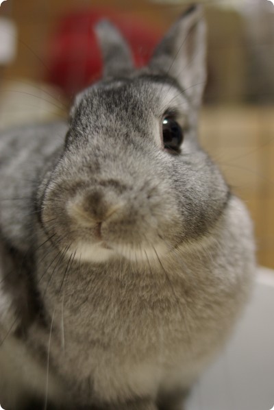 きらん♪
