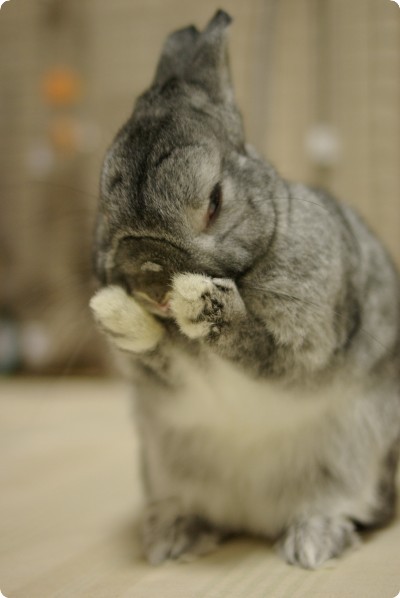 ほげ〜♪