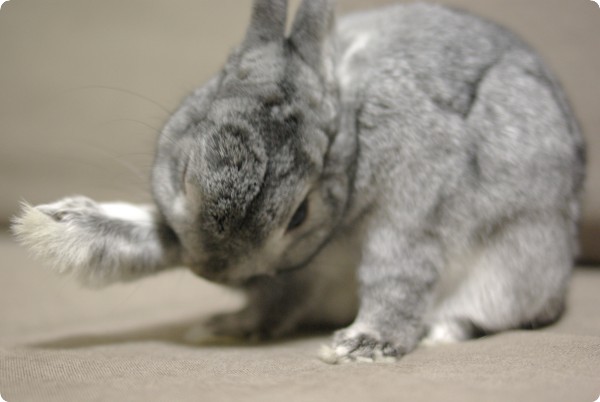はふはふ♪