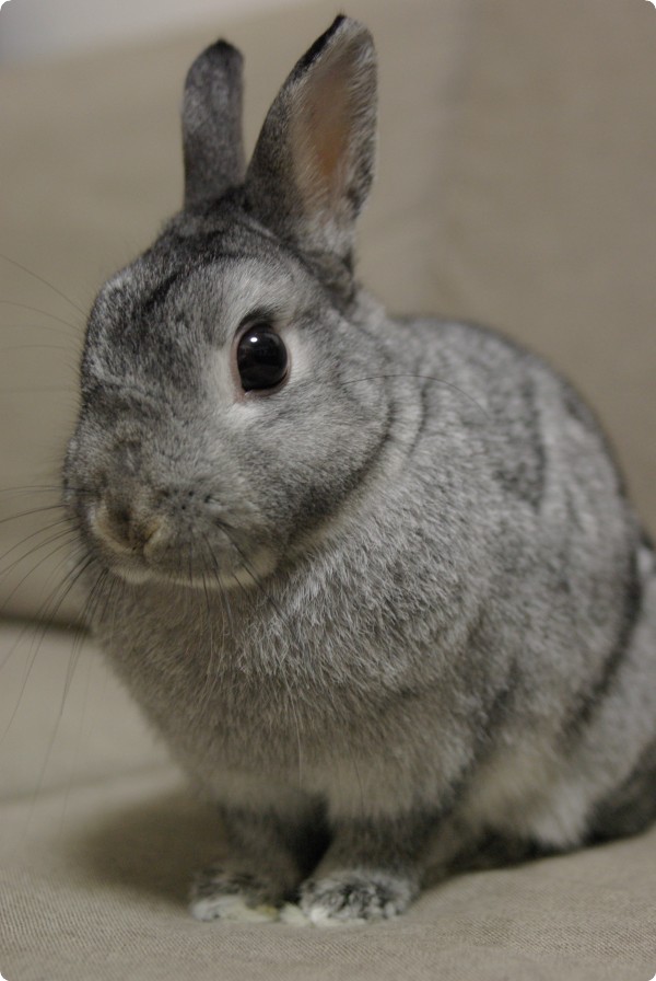 きらり♪
